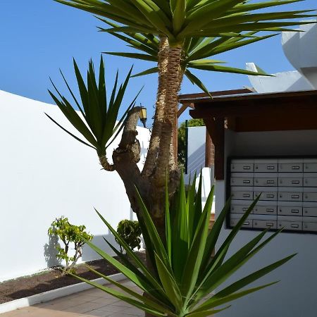 Apartament Dunasol 341 By Best Holidays Fuerteventura Corralejo Zewnętrze zdjęcie